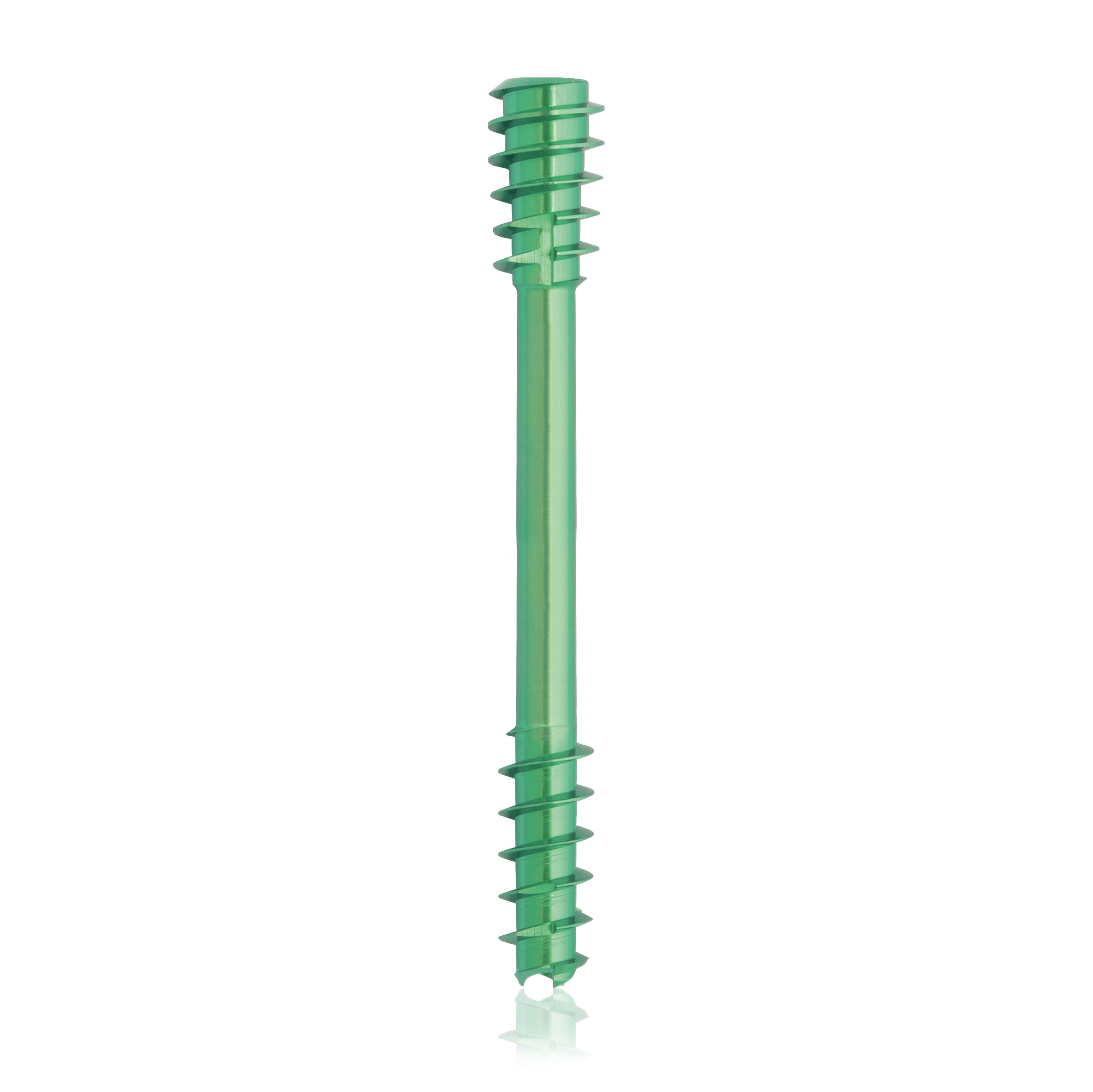 L = 36mm